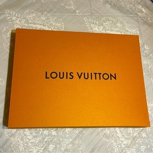 Louis Vuitton Large Box Magnetic 18x13.5
